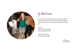 Dr.-Frezzo-Intro-Slide-page-001