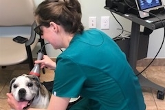 Animal_Hospital_3