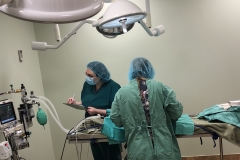 Animal_Hospital_Of_Hasbrouck_Heights_Operating_Room_1