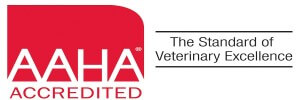 Family pet animal hospital - Bergen County NJ