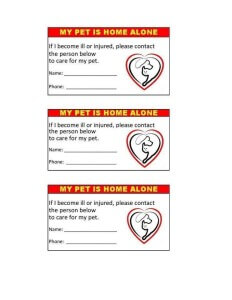 In Case of Emergency Pet Cards