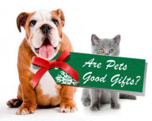 Pets_Not_Good_Gifts
