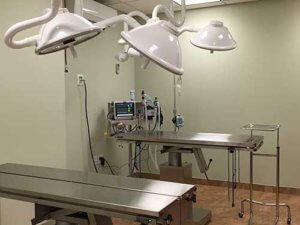 veterinary surgical suite
